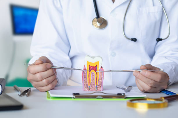 Best Same-Day Emergency Dental Services in Le Claire, IA